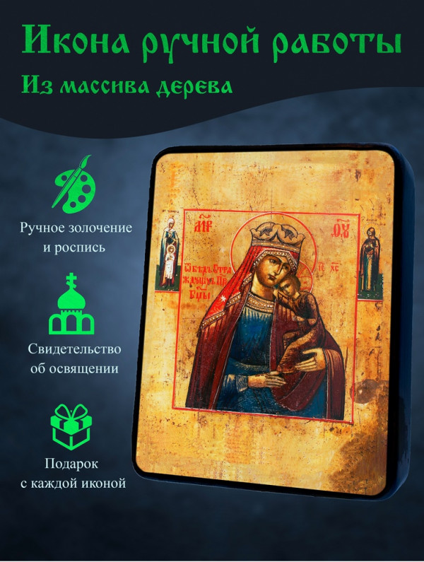 Икона Избавления от бед страждущих 1